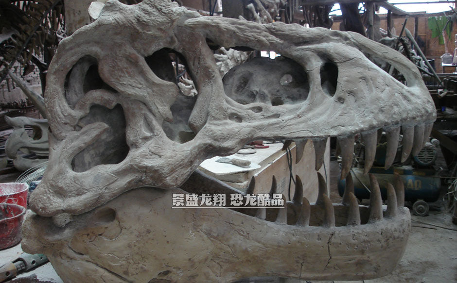仿制的恐龙头骨架